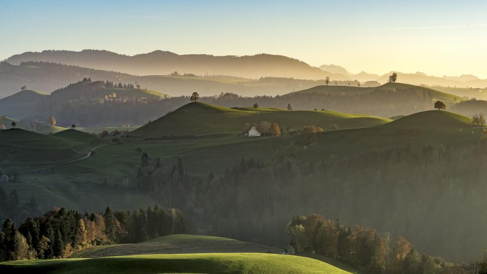 Das Abendlicht scheint durch die grüne Hügellandschaft.