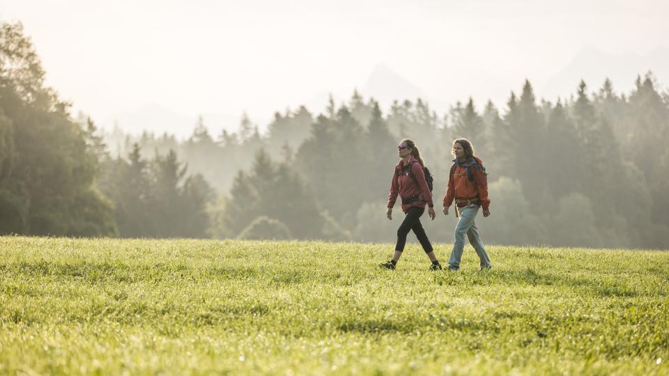 Zwei Menschen wandern über eine grüne Wiese vor dunklen Tannen oberhalb von Zug.