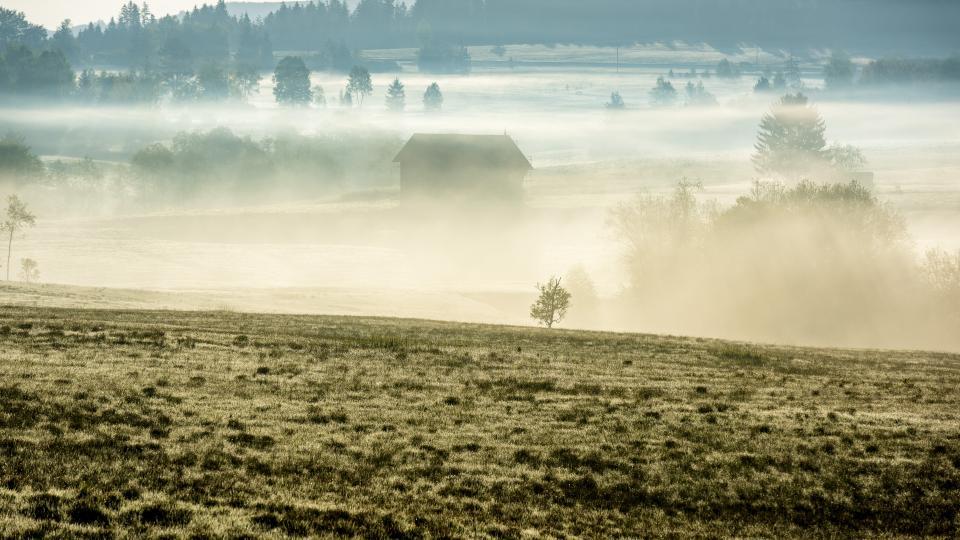 Nebel über dem Hochmoor Rothenthurm.